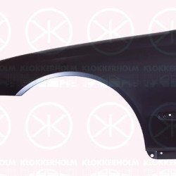 Wing, Left Front, 209 880 0318 (MERCEDES), A209 880 0318 (MERCEDES), A2098800318 (MERCEDES)
