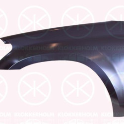 Wing, Left Front, 1648800106 (MERCEDES), A164880010664 (MERCEDES)