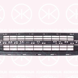 Radiator Grille, black, 51117250785 (BMW)