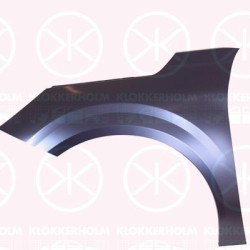 Wing, Left Front, 9823208480 (PEUGEOT)