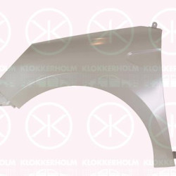 Wing, Left Front, 63 10 128 12R (RENAULT), 631014021R (RENAULT)