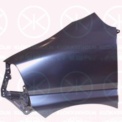Wing, Left Front, 53812 26040 (TOYOTA)