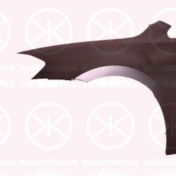 Wing, Left Front, 5G0 821 105 (VW), 5G0 821 105A (VW)