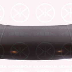 Bonnet, 2GA 823 031 A (VW)
