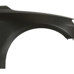 Audi A1 (18-) Front fender (right), 13A202, 82A821022