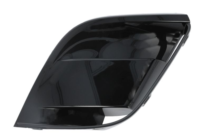 BMW Z4 (18-) Grotelės (M-Pack, kairė), 51 11 8 069 767