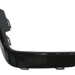 BMW Z4 (18-) Grille (right), 51 11 8 079 108