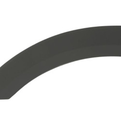 Ford Puma (19-) Rear fender strip (left), L1TBS286D03AF