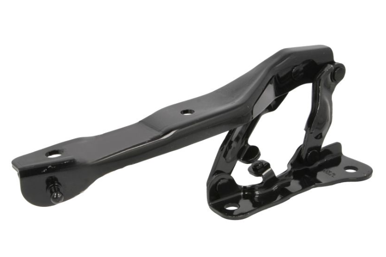 Kia EV6 (21-) Variklio dangčio lankstas (kairė), 66910-CV000