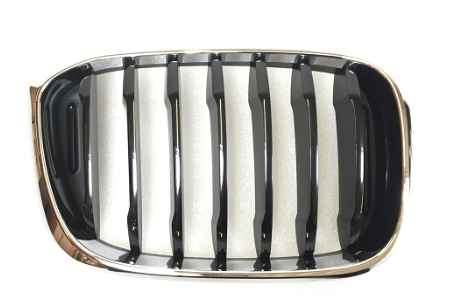 BMW X3 (17-) Grotelės (dešinė), 20X405-2, 51137440854